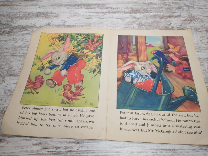 1940s Peter Rabbit Storybook | Ruth E. Newton Illustrations - Etsy