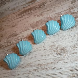 May include: Five light blue cabinet knobs shaped like seashells. Each knob features a glossy finish with raised, radiating ridges that mimic the texture of a scallop shell. A small metal screw post is visible on the back of each individual knob.