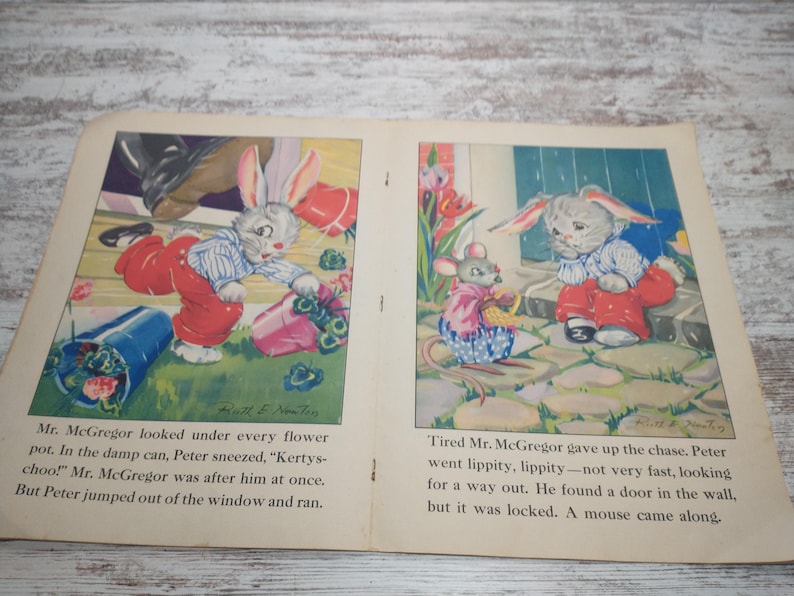 1940s Peter Rabbit Storybook | Ruth E. Newton Illustrations - Etsy