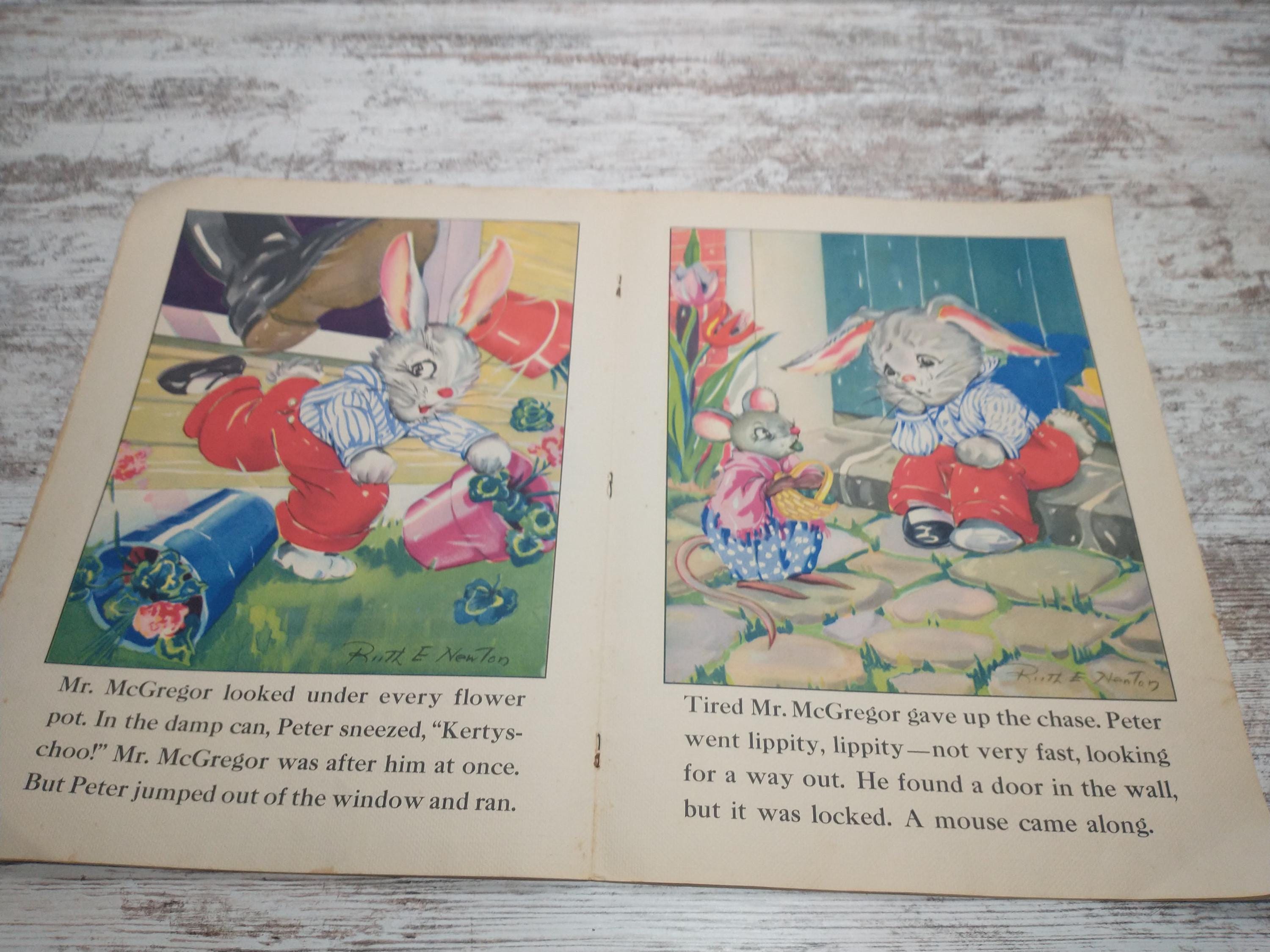 1940s Peter Rabbit Storybook | Ruth E. Newton Illustrations - Etsy