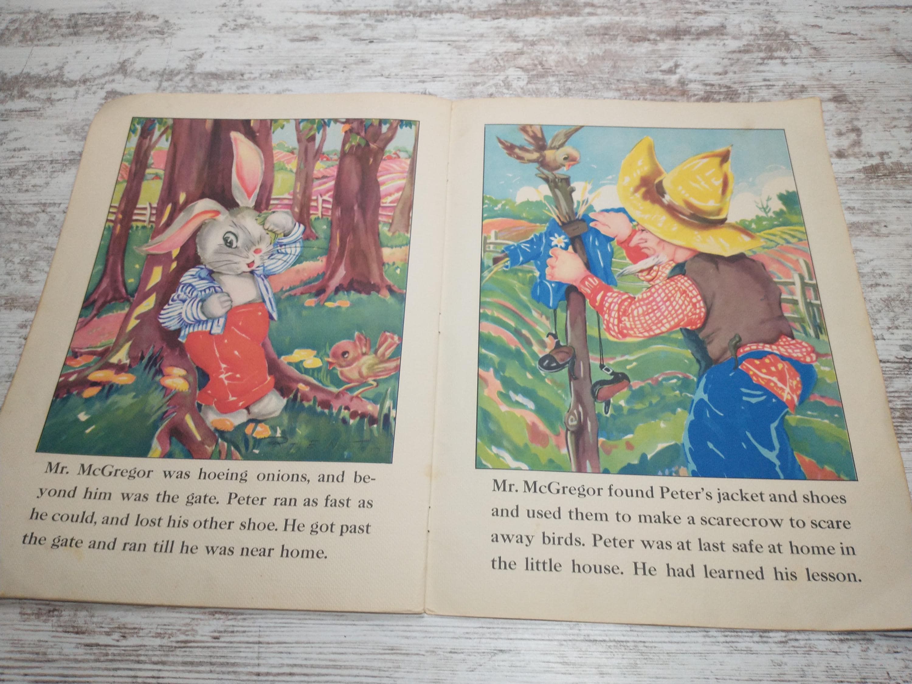 1940s Peter Rabbit Storybook | Ruth E. Newton Illustrations - Etsy