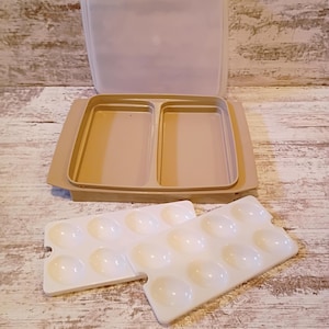 May include: A beige rectangular plastic food storage container with a divided interior and a translucent lid. Two white plastic inserts, each featuring eight circular indentations for holding eggs, are positioned in front of the container.