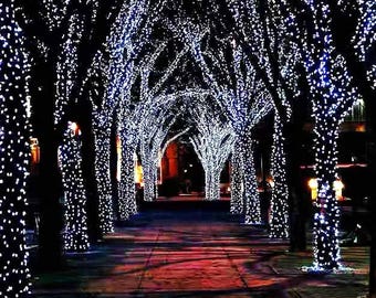 Solar Fairy Lights 66 ft, USB Rechargeable, 8 Modes