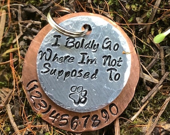 Personalized Cute Dog Tag, I Boldly Go Where I’m Not Supposed To, Funny Dog Tag, Pet ID Tag