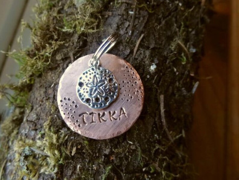 No Jingle Sand Dollar Dog Tag Dog Collar Tag Seashell Etsy