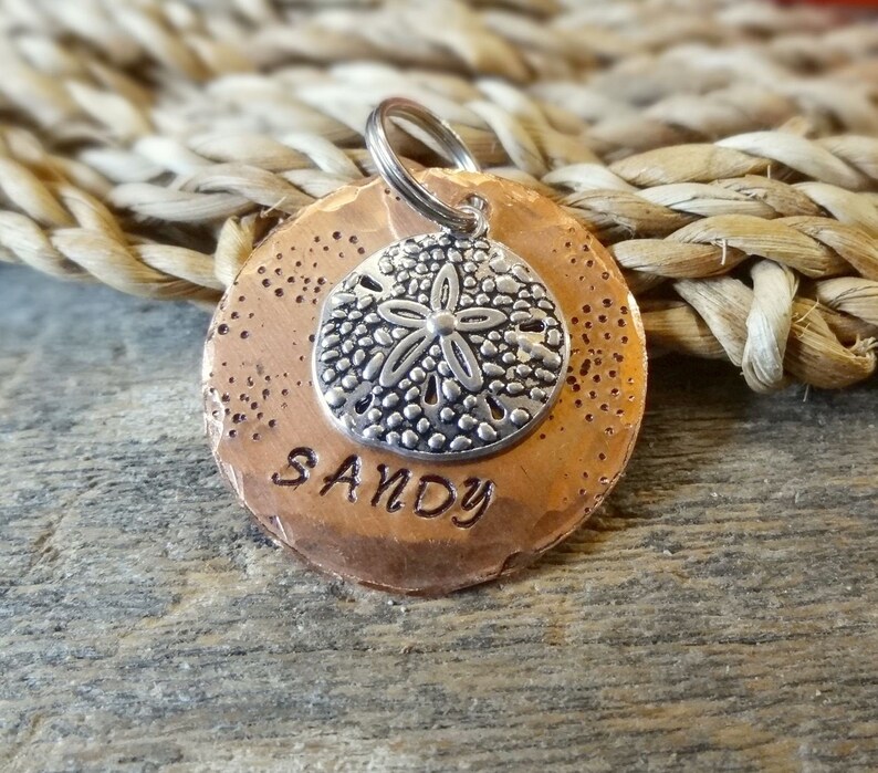 No Jingle Sand Dollar Dog Tag Dog Collar Tag Seashell Etsy