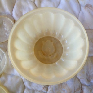 Vintage Tupperware Jello Mold with Lid and 6 Exchangeable Snap-in Mold Patterns