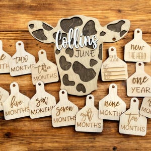 Cow Tag 2 Baby Milestones, Monthly Growth Tags, Baby Photo Props, Newborn Announcement, Cow Tag, Cow Baby Announcement, Personalized Name