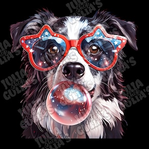 May include: A black and white border collie dog wearing red, white, and blue star-shaped sunglasses and blowing a bubble with a red, white, and blue design.