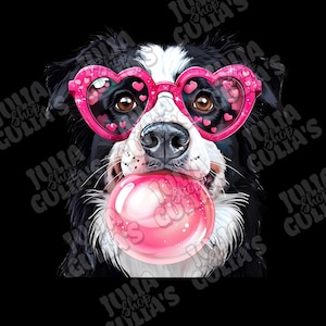 May include: A black and white border collie dog wearing pink heart-shaped sunglasses and blowing a pink bubble. The dog's tongue is sticking out and the bubble is large.