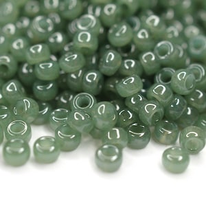 410 EUR/kg || 10g Miyuki Rocailles Rocailles 8/0 Saliegroen