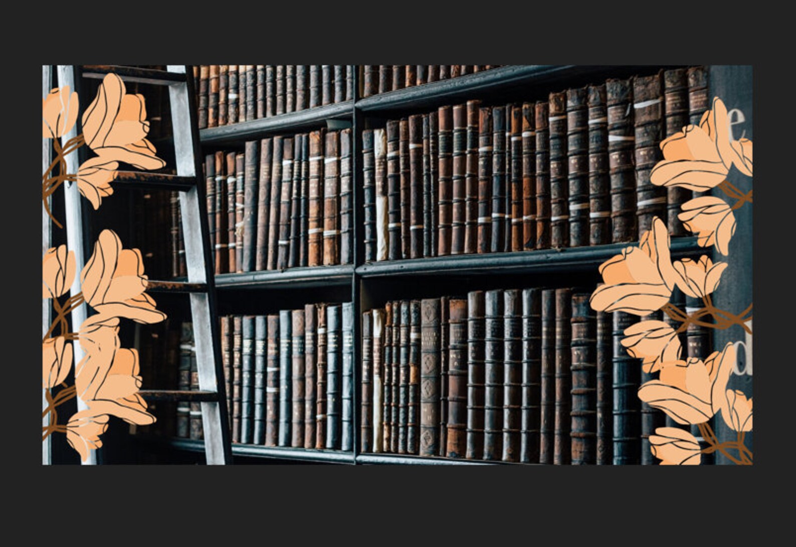 Library Zoom Background for Digital Meetings. 1280 x 720 px. | Etsy