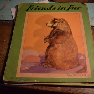 Vintage Friends in Fur Book / Antique 1921 Saalfield Pub Co. Akron / Antique Stories and Art Graphics