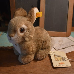 Steiff dormili rabbit on sale