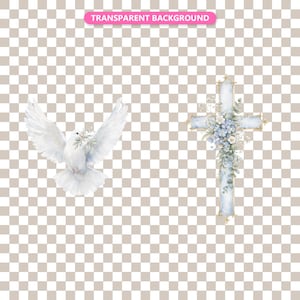 Transparent background — checker matte proof