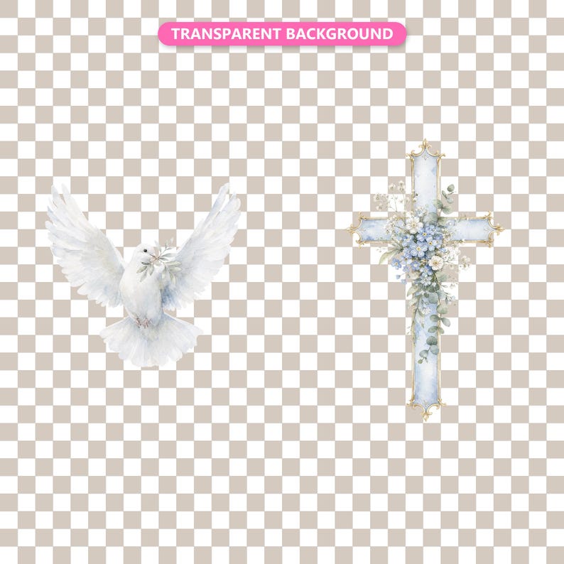 Transparent background — checker matte proof