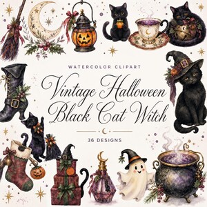 vintage halloween black cat witch png