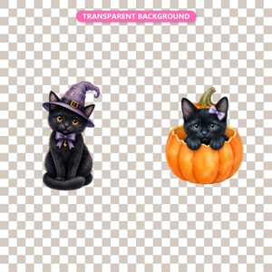 Transparent background — checker matte proof