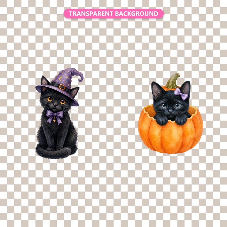 Transparent background — checker matte proof