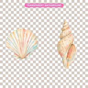 Transparent background — checker matte proof