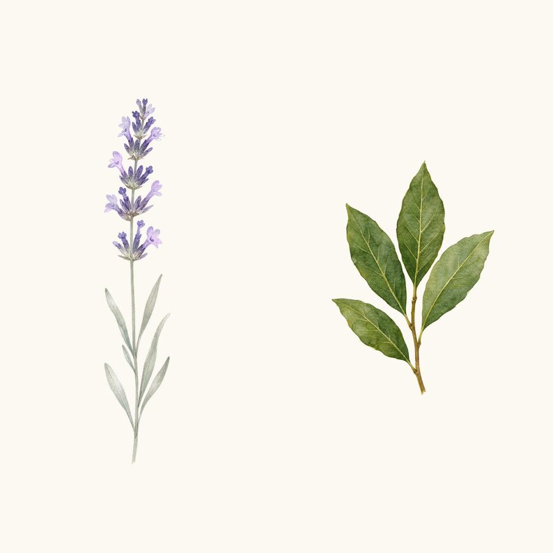 Sample elements — content preview