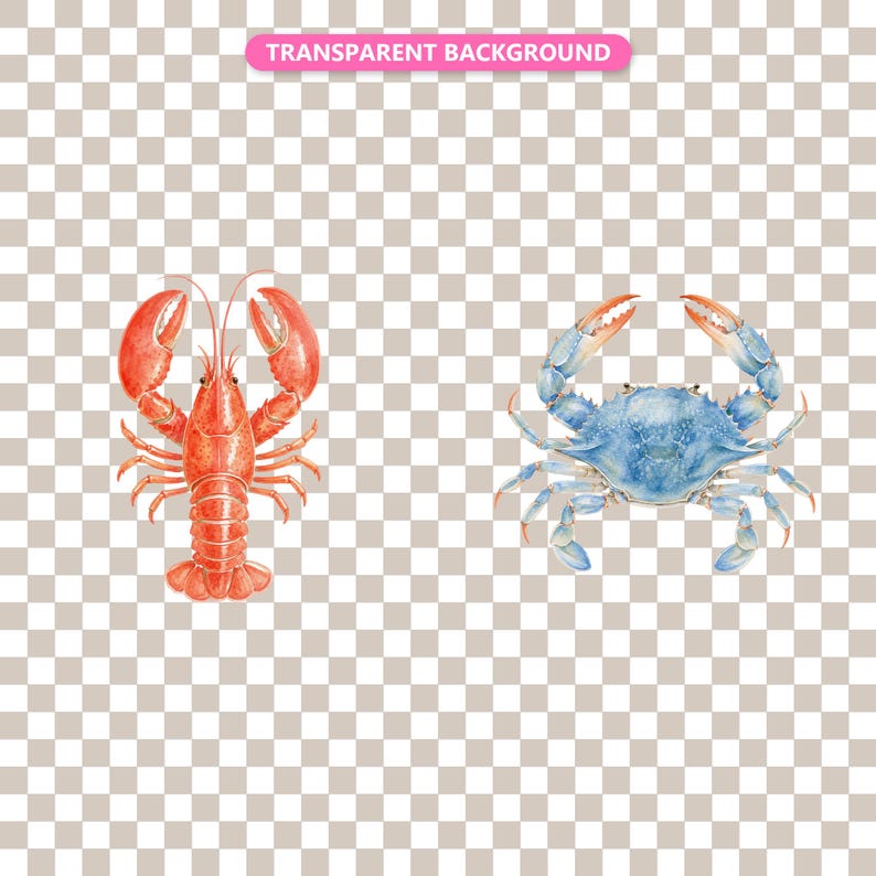 Transparent background — checker matte proof