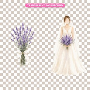 Transparent background — checker matte proof