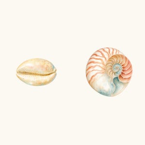 Sample elements — content preview