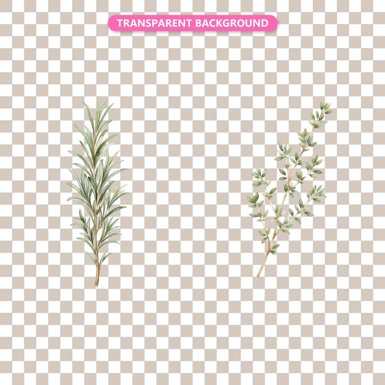 Transparent background — checker matte proof