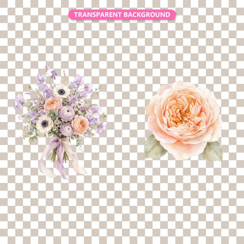 Transparent background — checker matte proof