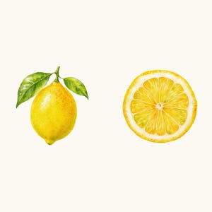 Sample elements — content preview