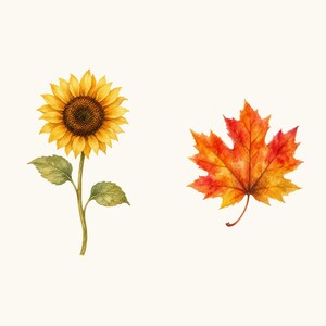 Sample elements — content preview