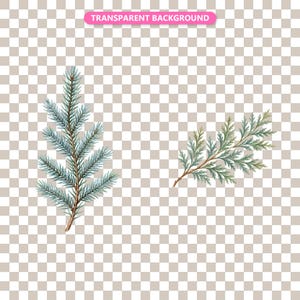 Transparent background — checker matte proof