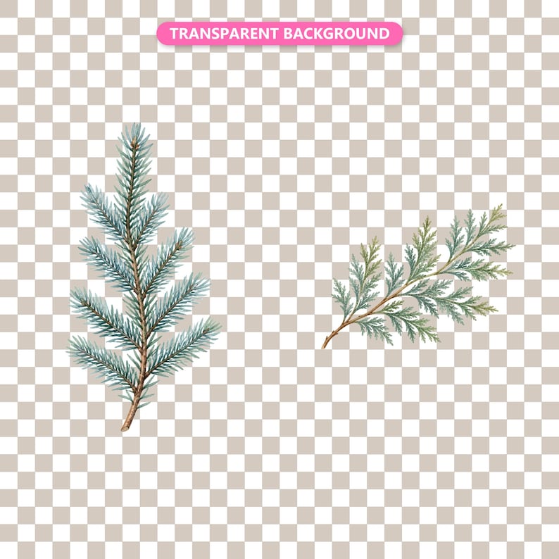 Transparent background — checker matte proof
