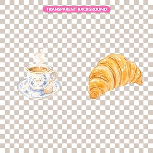 Transparent background — checker matte proof