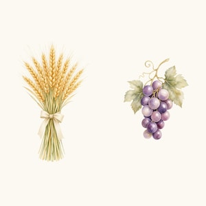 Sample elements — content preview