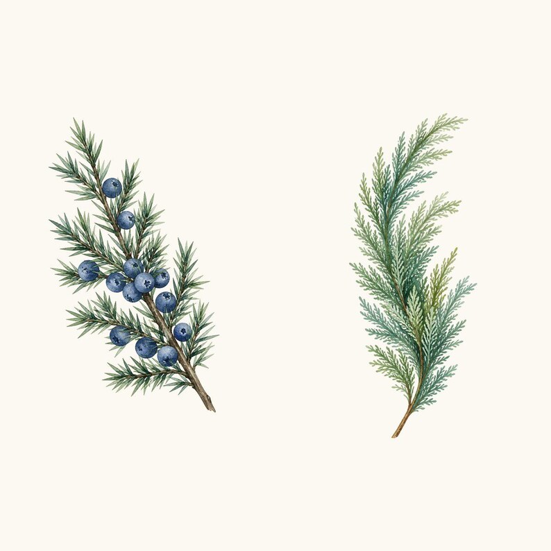 Sample elements — content preview