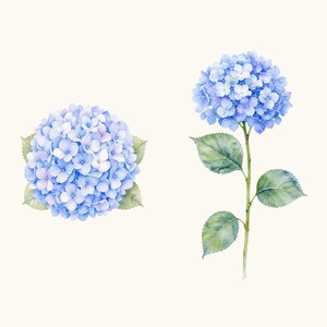 Sample elements — content preview