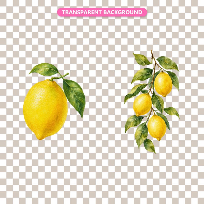 Transparent background — checker matte proof