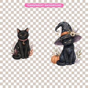 Transparent background — checker matte proof