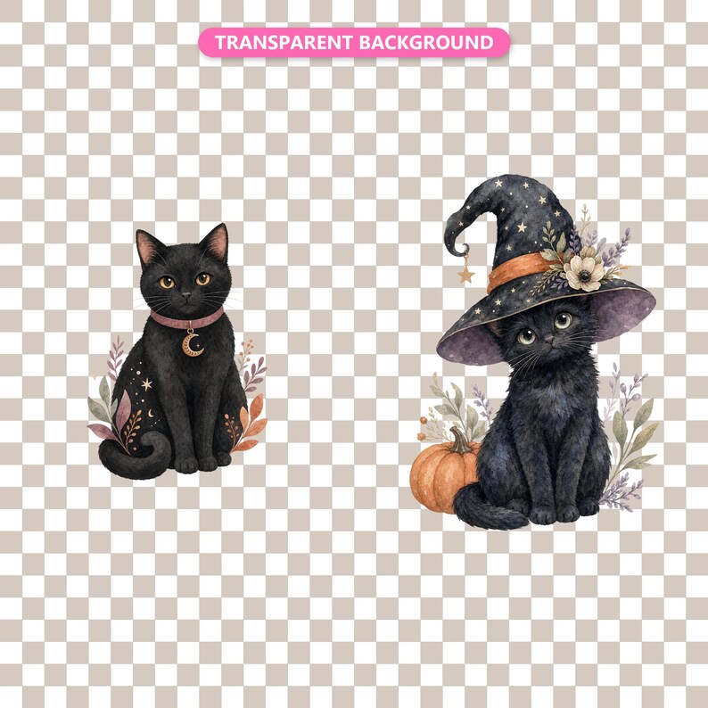 Transparent background — checker matte proof