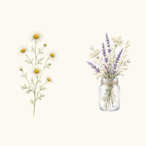 Sample elements — content preview