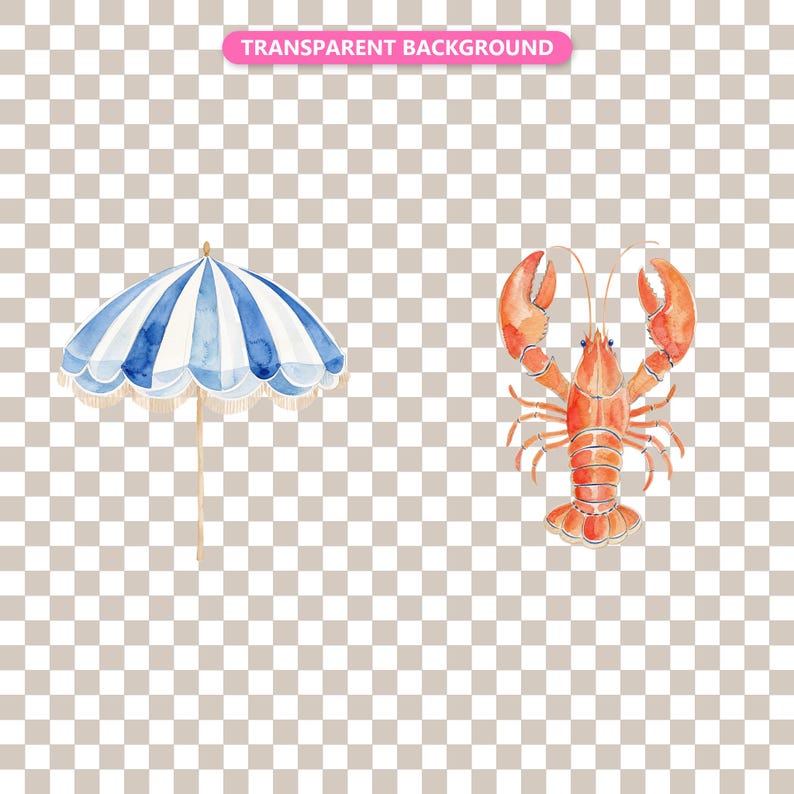 Transparent background — checker matte proof