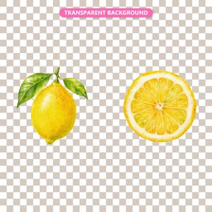 Transparent background — checker matte proof