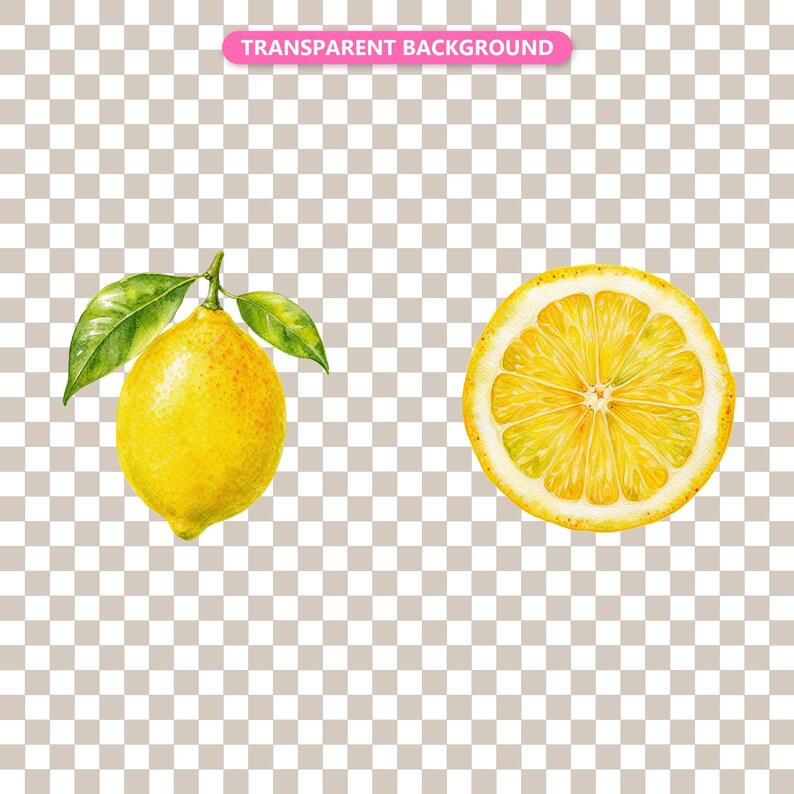 Transparent background — checker matte proof