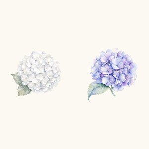Sample elements — content preview