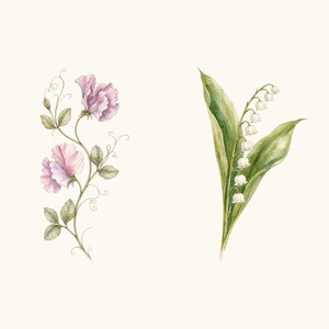 Sample elements — content preview