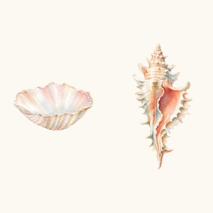 Sample elements — content preview