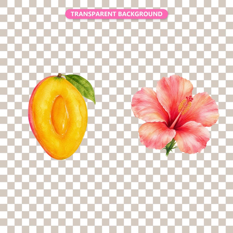 Transparent background — checker matte proof