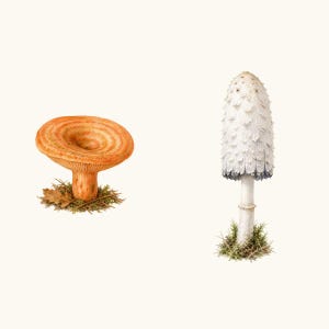 Sample elements — content preview